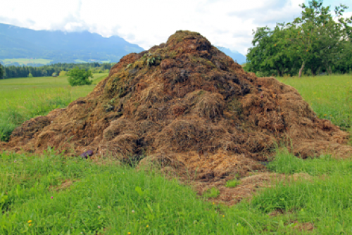 THE SIX COMPOST PREPARATIONS