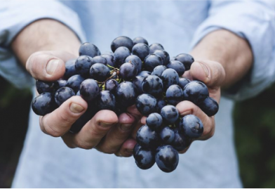 Why should we drink organic, biodynamic and natural wine?