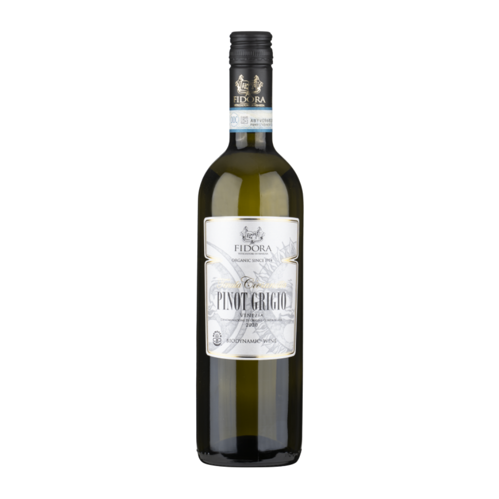 2024 Pinot Grigio by Fidora - The Living Vine - Organic