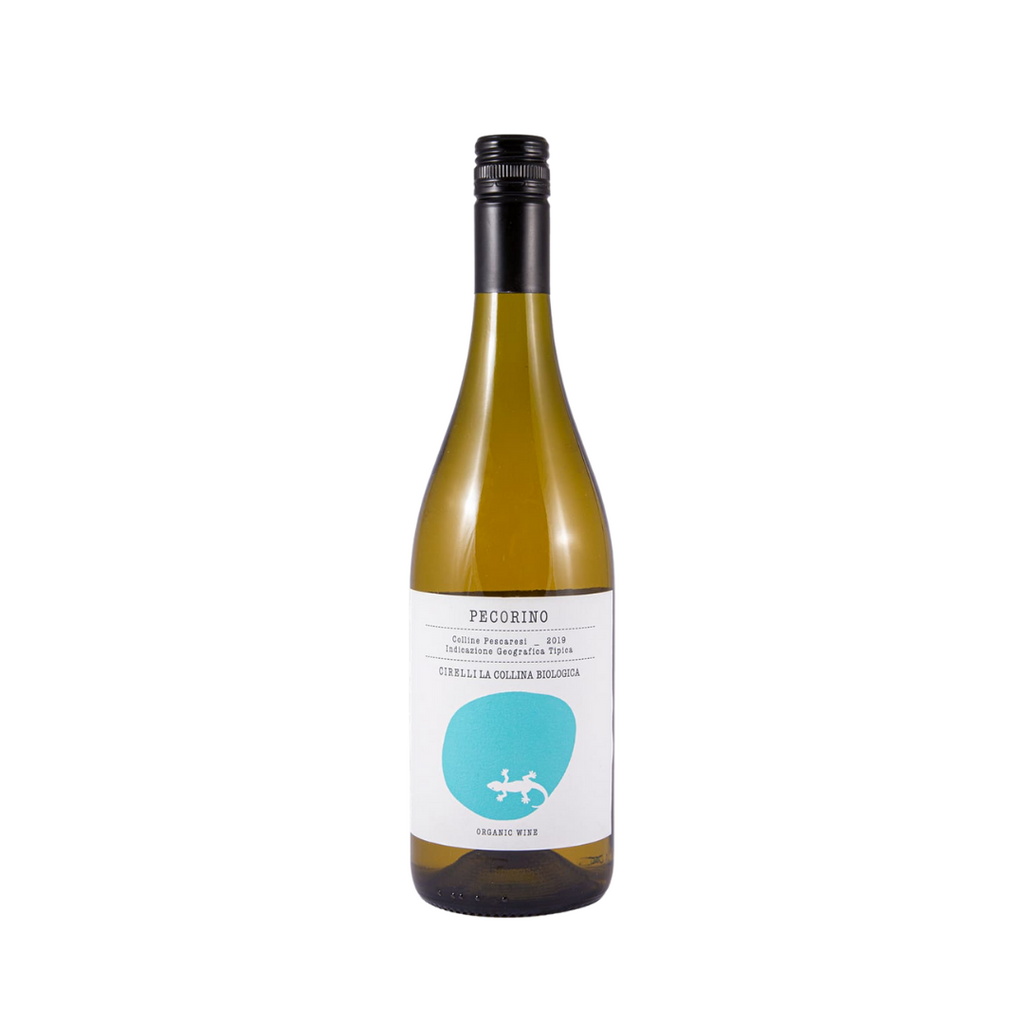 A bottle of 2019 Pecorino by Cirelli from The Living Vine
